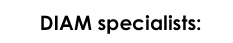 DiamSpecialists_a