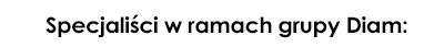 DiamSpecialists_a-400x43_PO
